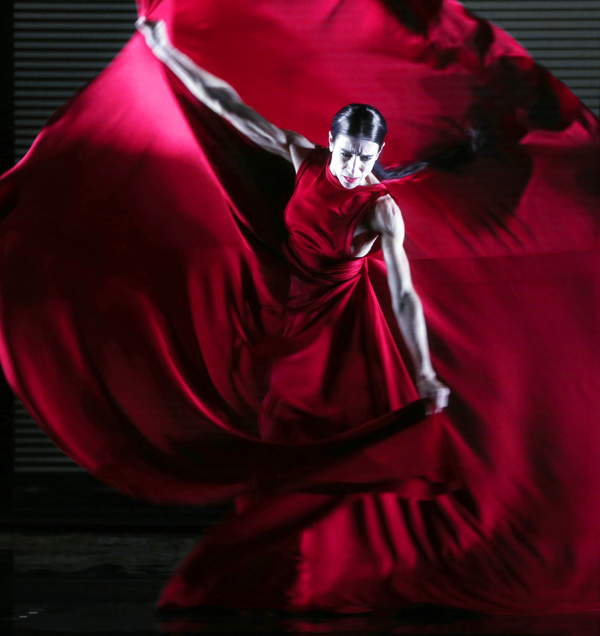 Photo Flash: Blanca Li's GODDESSES AND DEMONESSES Image