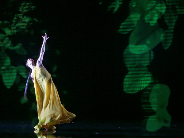 Photo Flash: Blanca Li's GODDESSES AND DEMONESSES Image