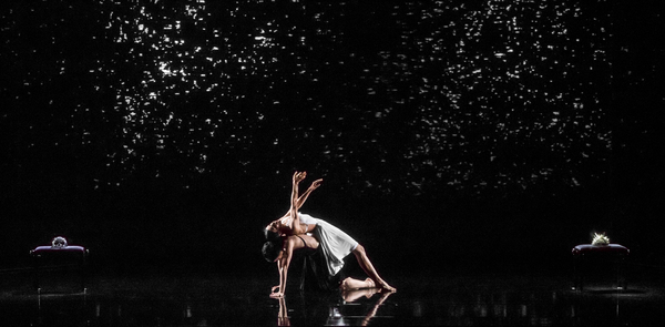 Photo Flash: Blanca Li's GODDESSES AND DEMONESSES Image