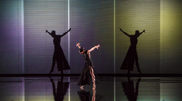 Photo Flash: Blanca Li's GODDESSES AND DEMONESSES Image