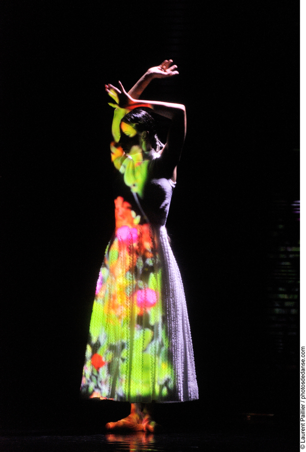 Photo Flash: Blanca Li's GODDESSES AND DEMONESSES Image