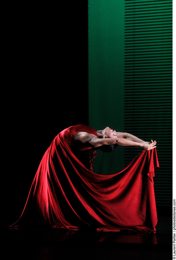 Photo Flash: Blanca Li's GODDESSES AND DEMONESSES Image