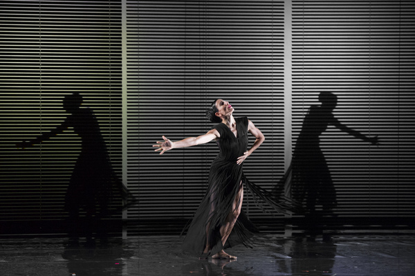 Photo Flash: Blanca Li's GODDESSES AND DEMONESSES Image