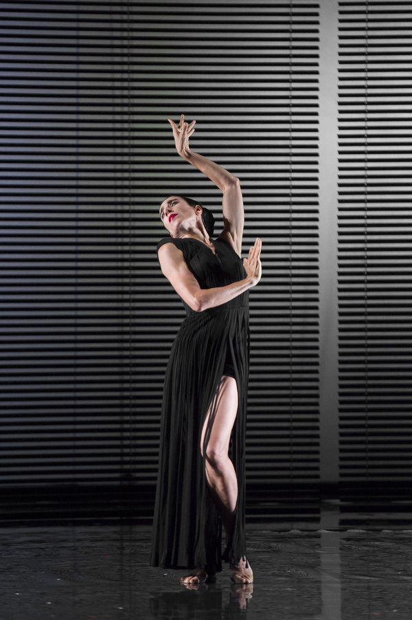 Photo Flash: Blanca Li's GODDESSES AND DEMONESSES Image