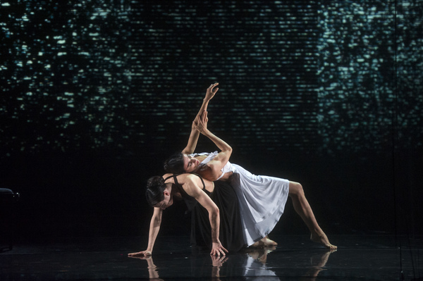 Photo Flash: Blanca Li's GODDESSES AND DEMONESSES Image