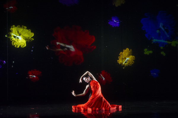 Photo Flash: Blanca Li's GODDESSES AND DEMONESSES Image