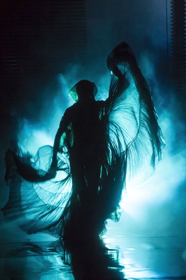 Photo Flash: Blanca Li's GODDESSES AND DEMONESSES Image