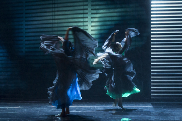 Photo Flash: Blanca Li's GODDESSES AND DEMONESSES Image