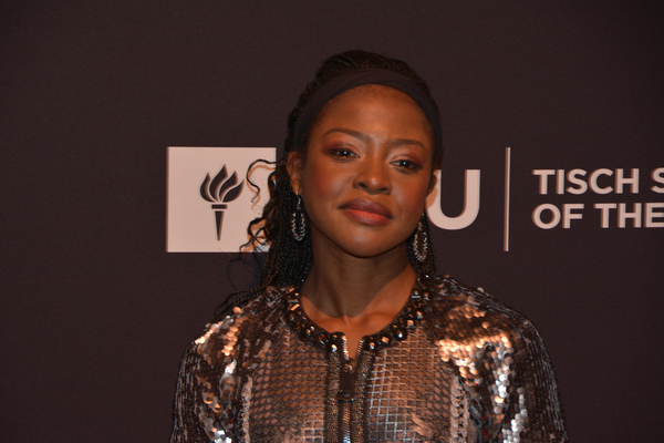 Photo Coverage: WALKING DEAD and MOONLIGHT Stars Honored at 2017 Tisch Gala Image