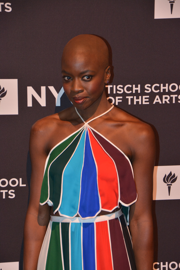 Photo Coverage: WALKING DEAD and MOONLIGHT Stars Honored at 2017 Tisch Gala Image