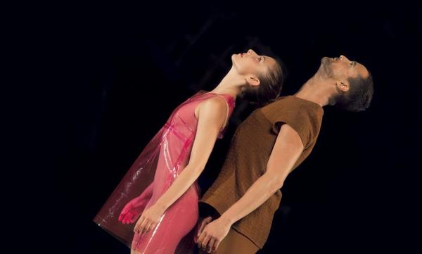 PHOTO FLASH: First Look at Centre National de Danse Contemporaine-Angers at the Joyce Image