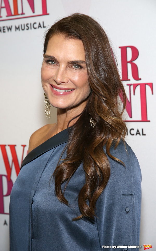 Photo Coverage: On the Opening Night Red Carpet for WAR PAINT Image