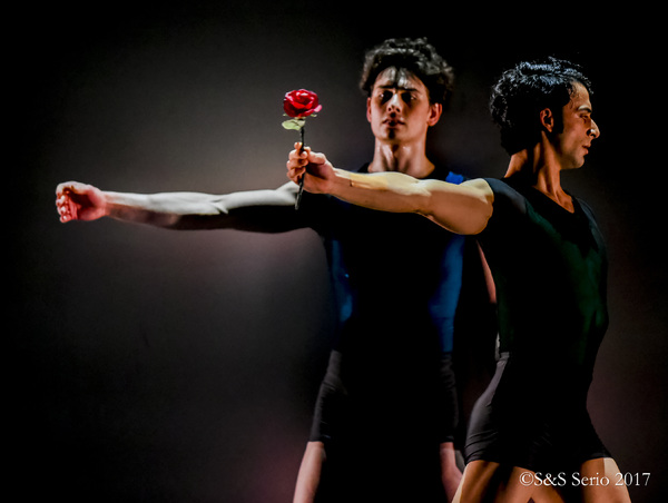 BWW Previews: ROMANCE at Merriam Theater Image