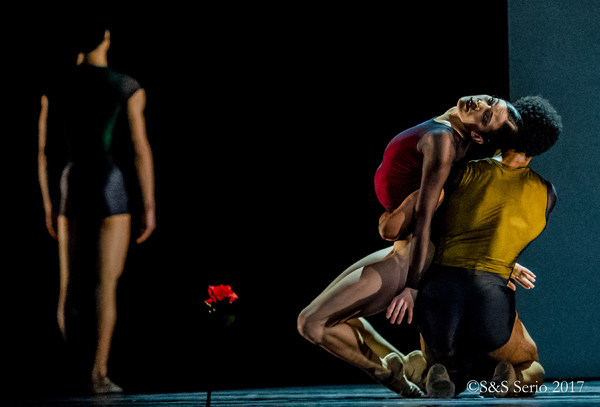 BWW Previews: ROMANCE at Merriam Theater Image