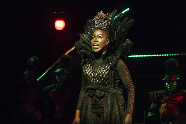 Photo Flash: First Look at Virginia Stage and NSU Theatre's THE WIZ Image