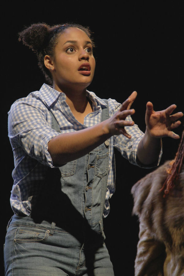 Photo Flash: First Look at Virginia Stage and NSU Theatre's THE WIZ Image