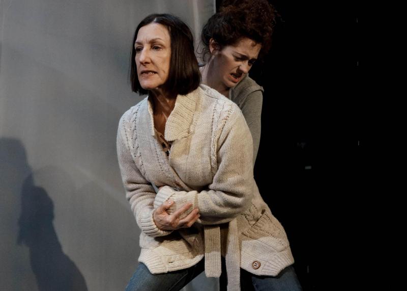 Photo Flash: First Look at Artemisia's VISITING, Opening Tonight at The EDGE Theater Image