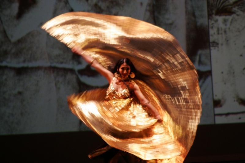 BWW Review: BELLA GAIA - A Poetic Vision of Earth From Space