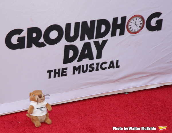 Groundhog attends the Broadway Opening Night performance of 'Groundhog Day' at the Au Photo