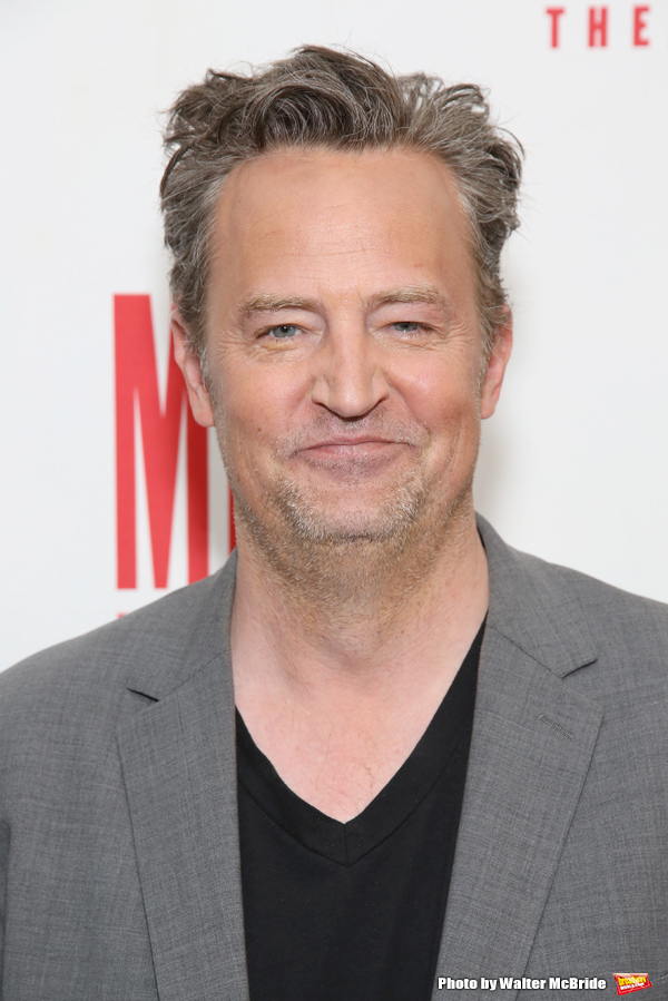 Photo Coverage: Meet the Company of Matthew Perry's THE END OF LONGING Image