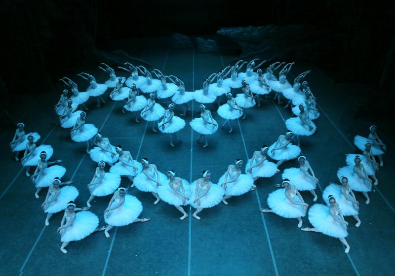 Review: Shanghai Ballet Brings SWAN LAKE Back to Melbourne at Regent Theatre Image
