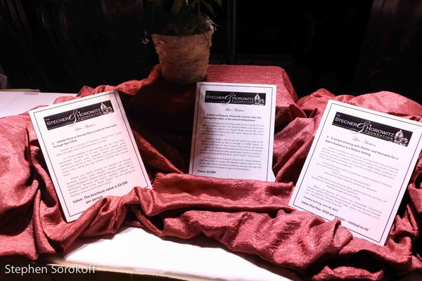 Photo Coverage: Stecher and Horowitz Foundation Gala Honors MSM President & Others Image