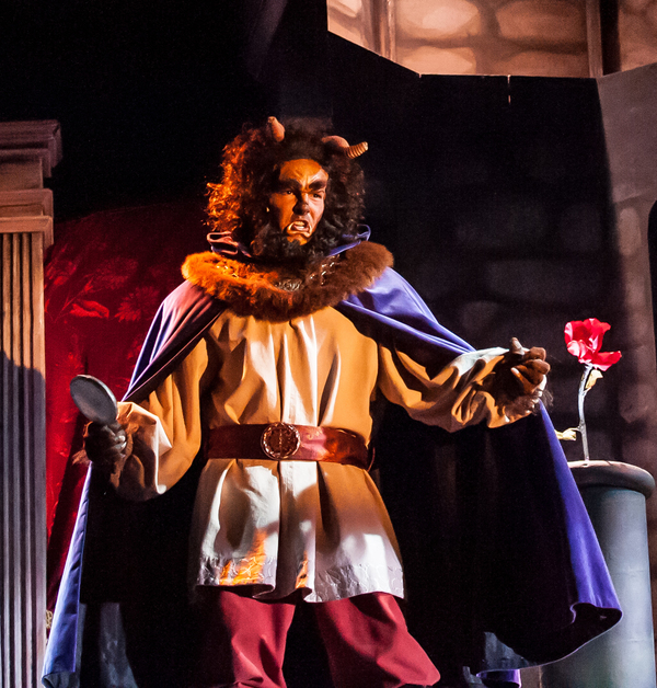 Photo Flash: First Look at Virginia Rep's BEAUTY AND THE BEAST Image