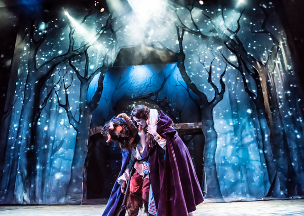 Photo Flash: First Look at Virginia Rep's BEAUTY AND THE BEAST Image
