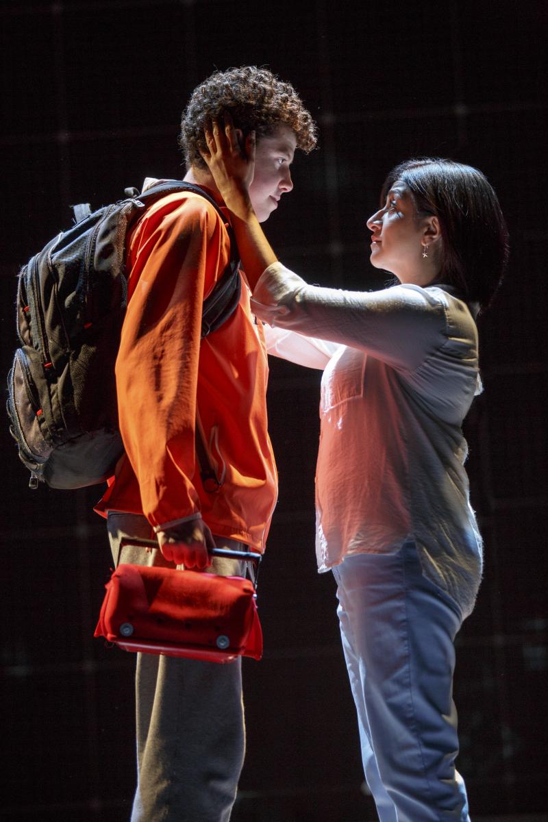 Review: CURIOUS INCIDENT... at TPAC Could Change Your Life Image