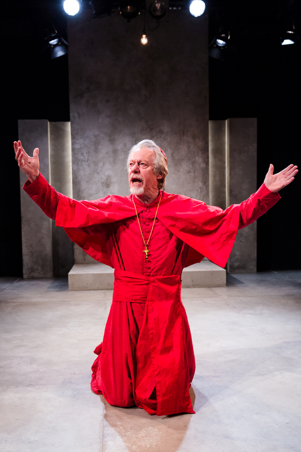 Photo Flash: First Look at THE CARDINAL at Southwark Playhouse Image