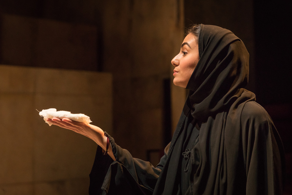 Photo Flash: First Look at OCCUPATIONAL HAZARDS at Hampstead Theatre Image