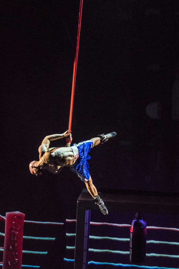 Photo Flash: Stufish's SOHO Brings Circus Thrill Ride to The Peacock Image