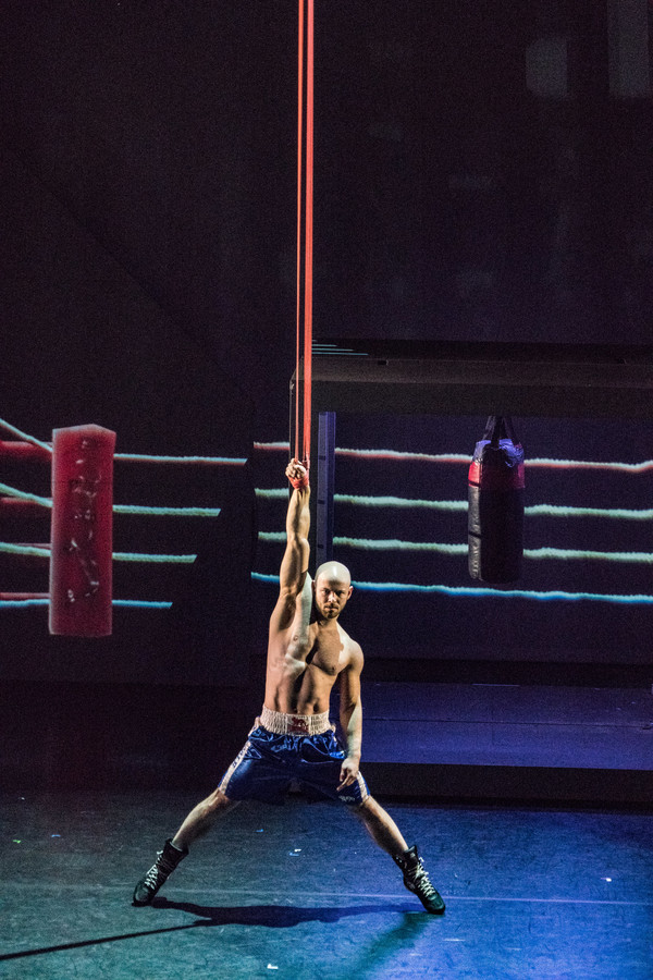 Photo Flash: Stufish's SOHO Brings Circus Thrill Ride to The Peacock Image