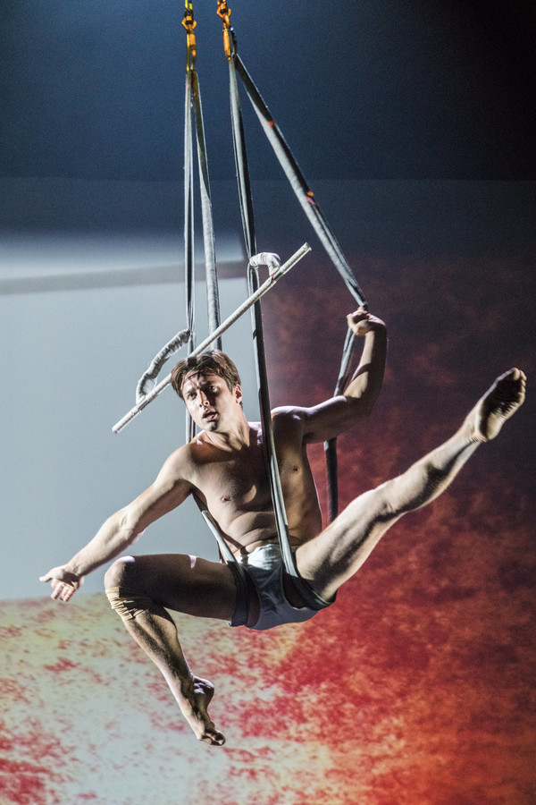 Photo Flash: Stufish's SOHO Brings Circus Thrill Ride to The Peacock Image