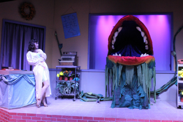 Photo Flash: Spend A Final Weekend on Skid Row with LITTLE SHOP OF HORRORS 