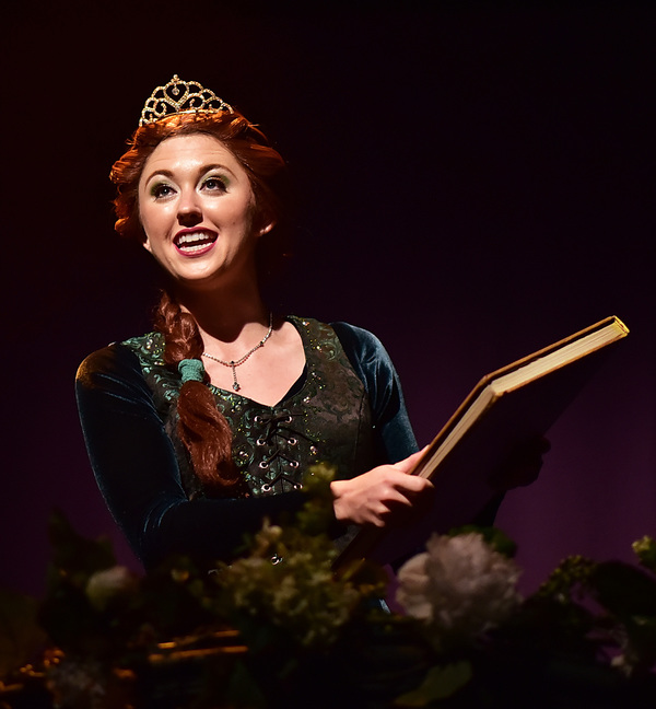 Photo Flash: SHREK at Beef and Boards Image