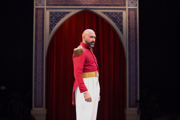 Photo Flash: First Look at Arian Moayed, Sherie Rene Scott, Micah Stock and More in Waterwell's Dual-Language HAMLET Image