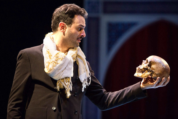 Photo Flash: First Look at Arian Moayed, Sherie Rene Scott, Micah Stock and More in Waterwell's Dual-Language HAMLET Image