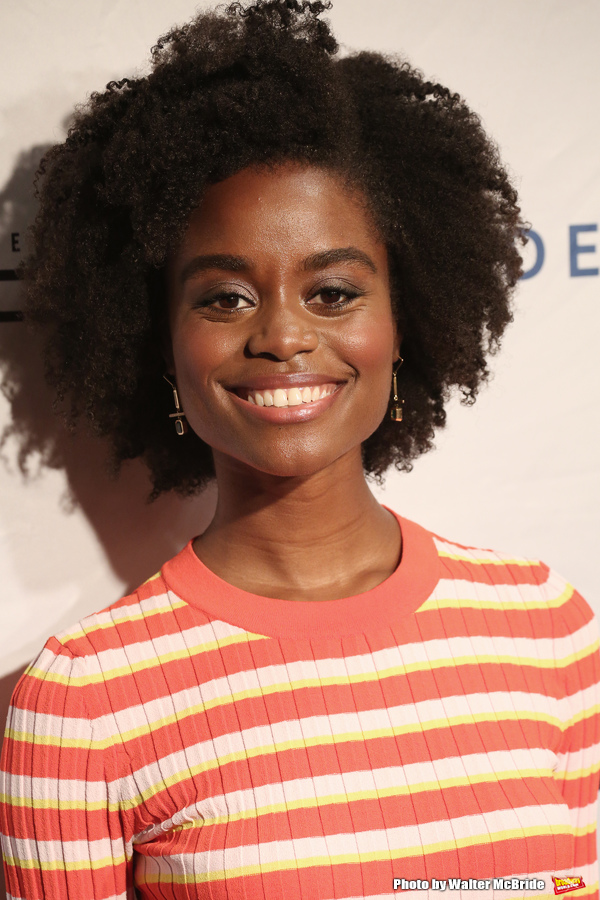 Photo Coverage: On the Red Carpet at the 83rd Annual Drama League Awards Ceremony Image