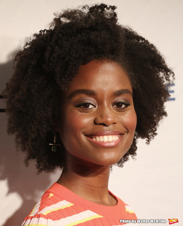 Photo Coverage: On the Red Carpet at the 83rd Annual Drama League Awards Ceremony Image