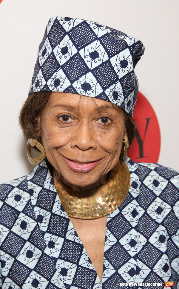 Photo Coverage: On the Red Carpet at the Lilly Awards! Image