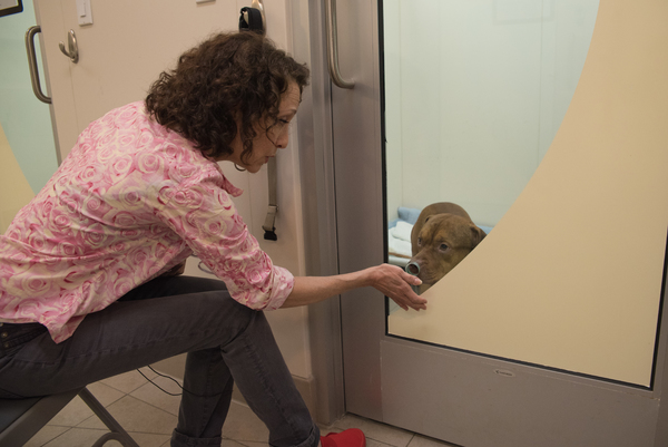 Photos and Video: Bebe Neuwirth Tells Stories to Recovering Canines at the ASPCA Image