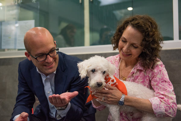Photos and Video: Bebe Neuwirth Tells Stories to Recovering Canines at the ASPCA Image