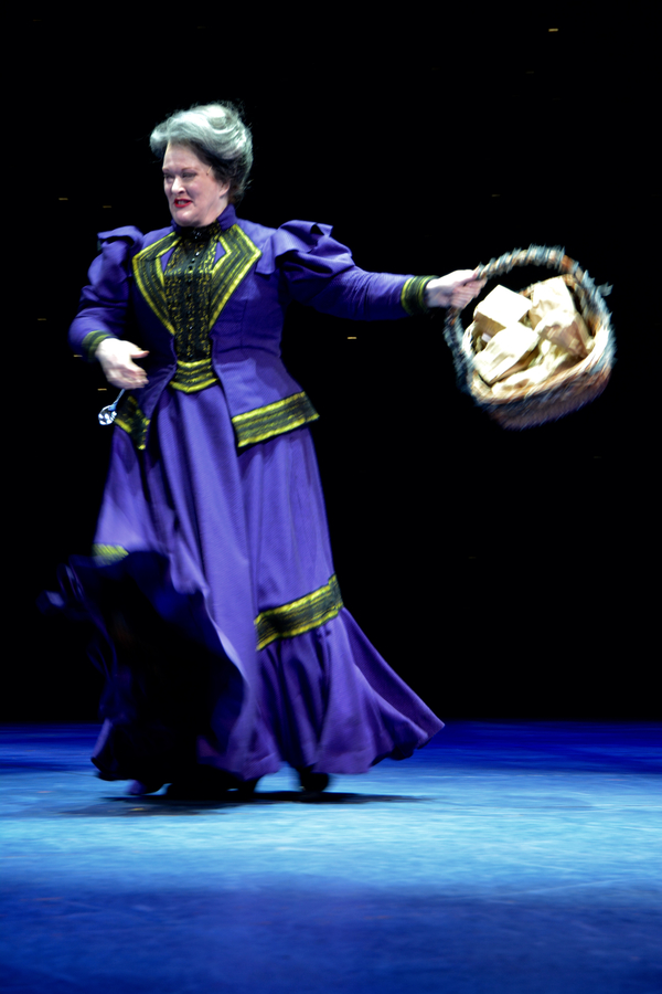Photo Coverage: Cast of Paper Mill Playhouse's MARY POPPINS Takes Opening Night Bows Image
