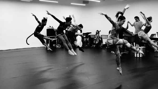Photo Flash: In Rehearsal for the UK Premiere of VOICES OF THE AMAZON Image