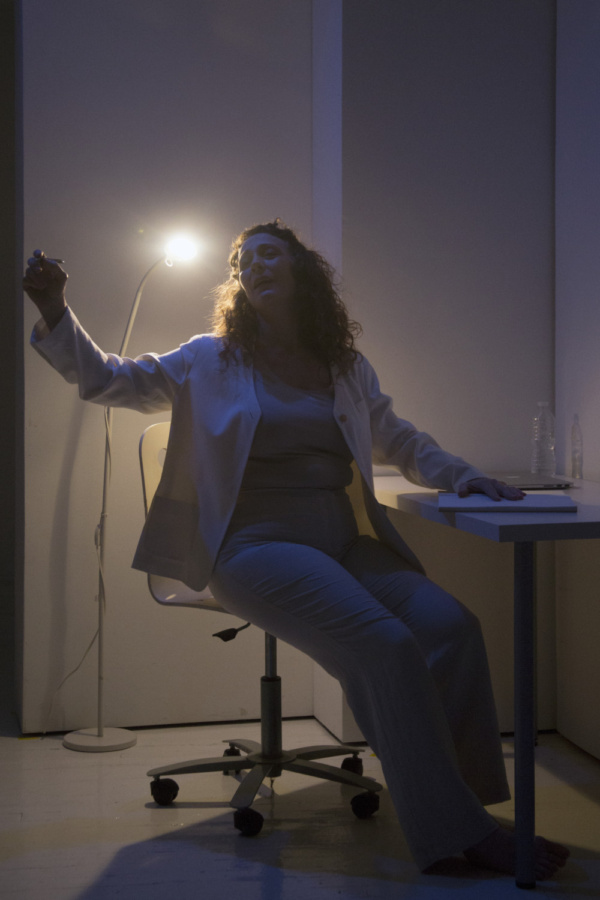 Photo Flash: First look at Liz Stanton in THE WOMAN WHO WAS ME at TheaterLab Image