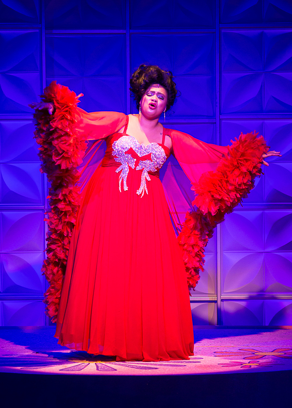 Photo Flash: BEEHIVE THE 60'S MUSICAL Grooves at Theatre By The Sea Image