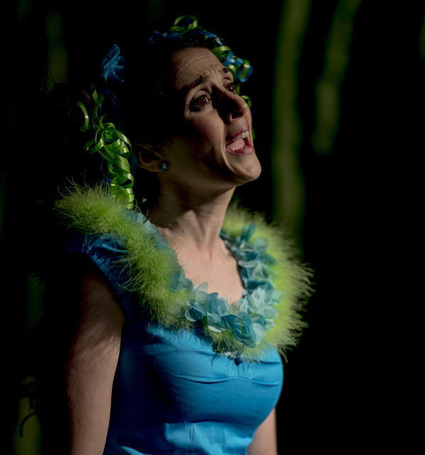 BWW Previews: SEUSSICAL THE MUSICAL at Street Lamp Theater Image