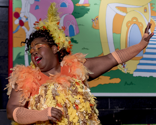 BWW Previews: SEUSSICAL THE MUSICAL at Street Lamp Theater Image