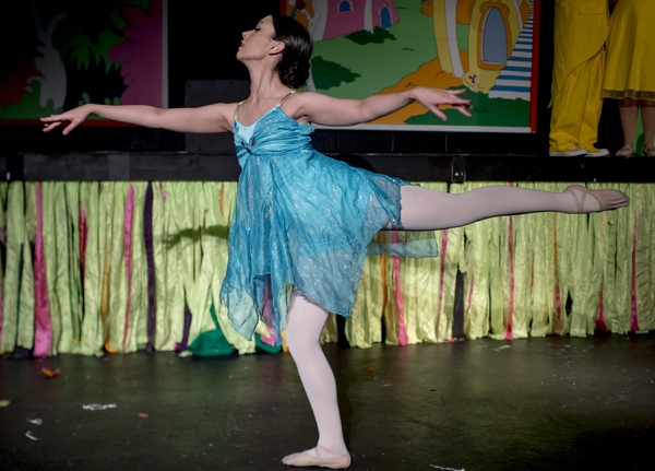 BWW Previews: SEUSSICAL THE MUSICAL at Street Lamp Theater Image
